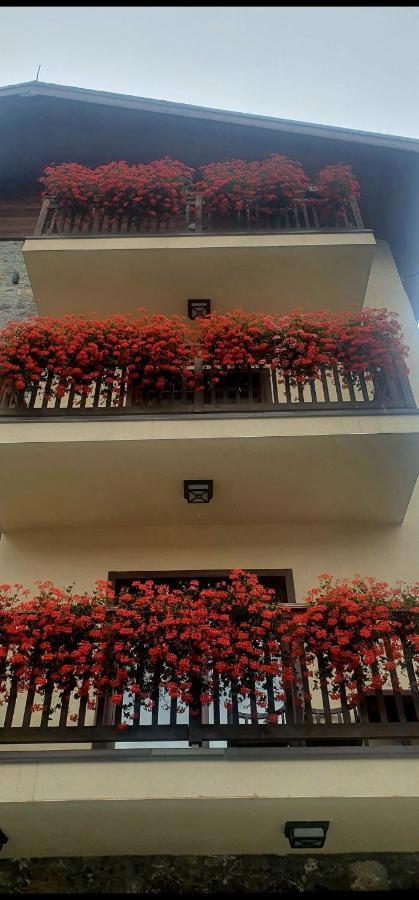 Apartmani Aleksandra Kolašin Esterno foto